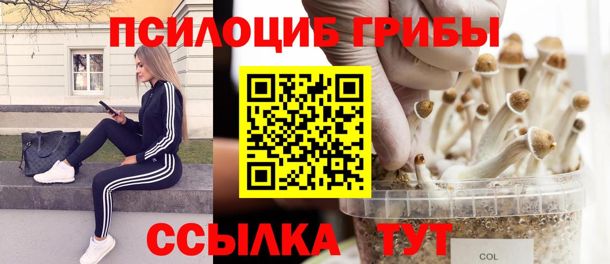 Псилоцибиновые грибы мухоморы Омск